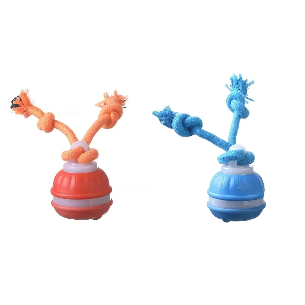 🐕⚡Interactive Smart Rolling Pet Ball,49% OFF!⚡