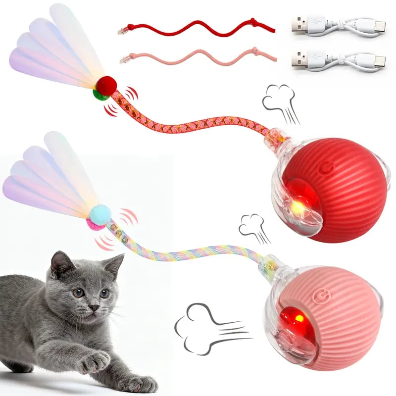 🐱Interactive Ball Toy for Cats & Small Dogs,49% OFF!⚡