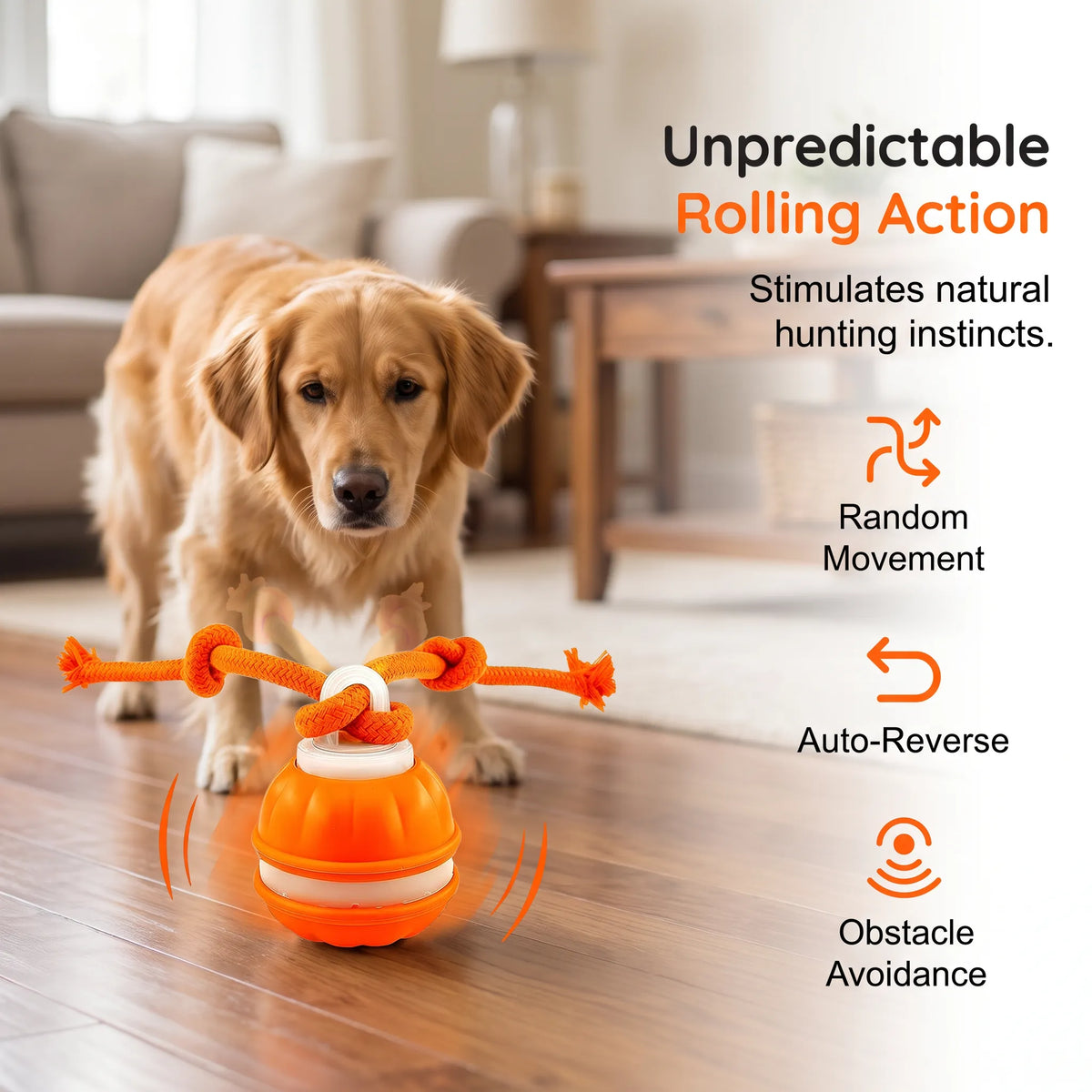 🐕⚡Interactive Smart Rolling Pet Ball，49% OFF!⚡