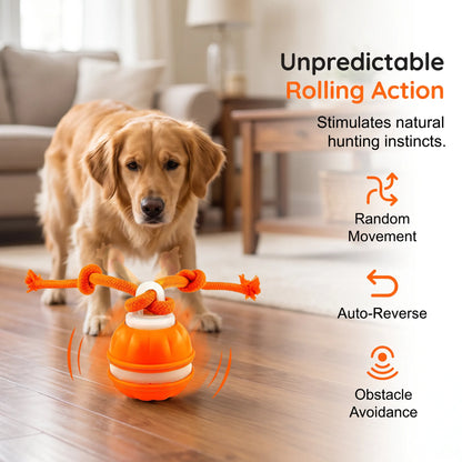 🐕⚡Interactive Smart Rolling Pet Ball，49% OFF!⚡