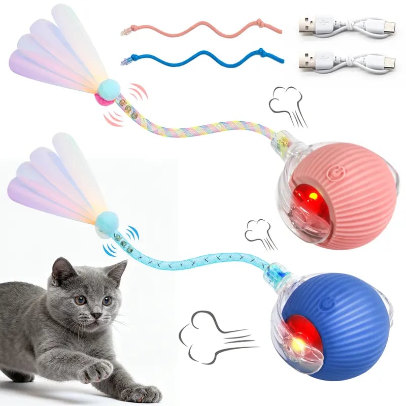 🐱Interactive Ball Toy for Cats & Small Dogs，49% OFF!⚡