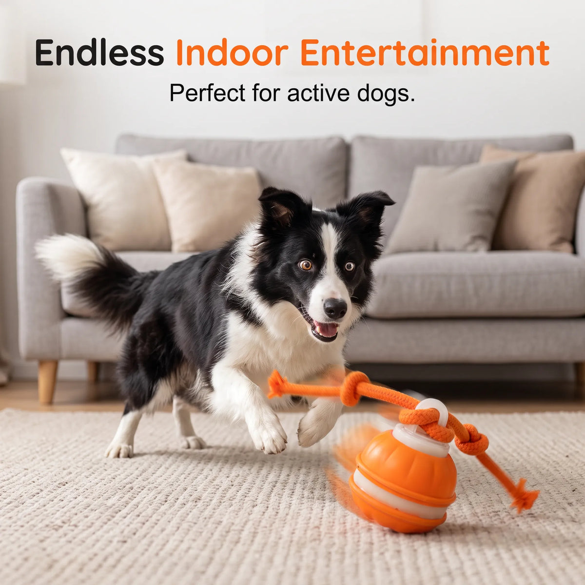 🐕⚡Interactive Smart Rolling Pet Ball，49% OFF!⚡