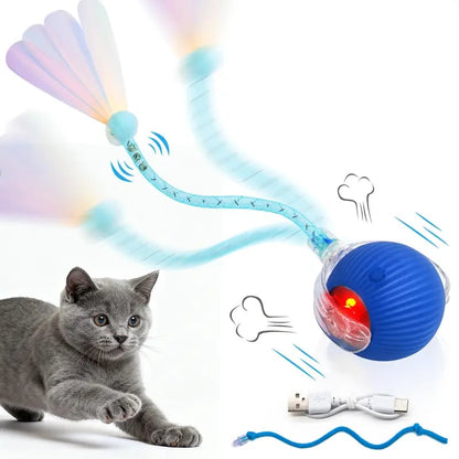 🐱Interactive Ball Toy for Cats & Small Dogs，49% OFF!⚡