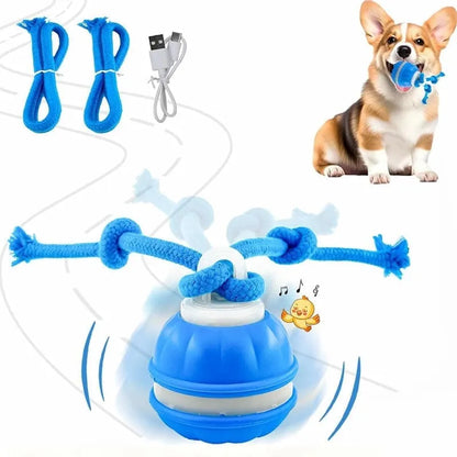 🐕⚡Interactive Smart Rolling Pet Ball，49% OFF!⚡