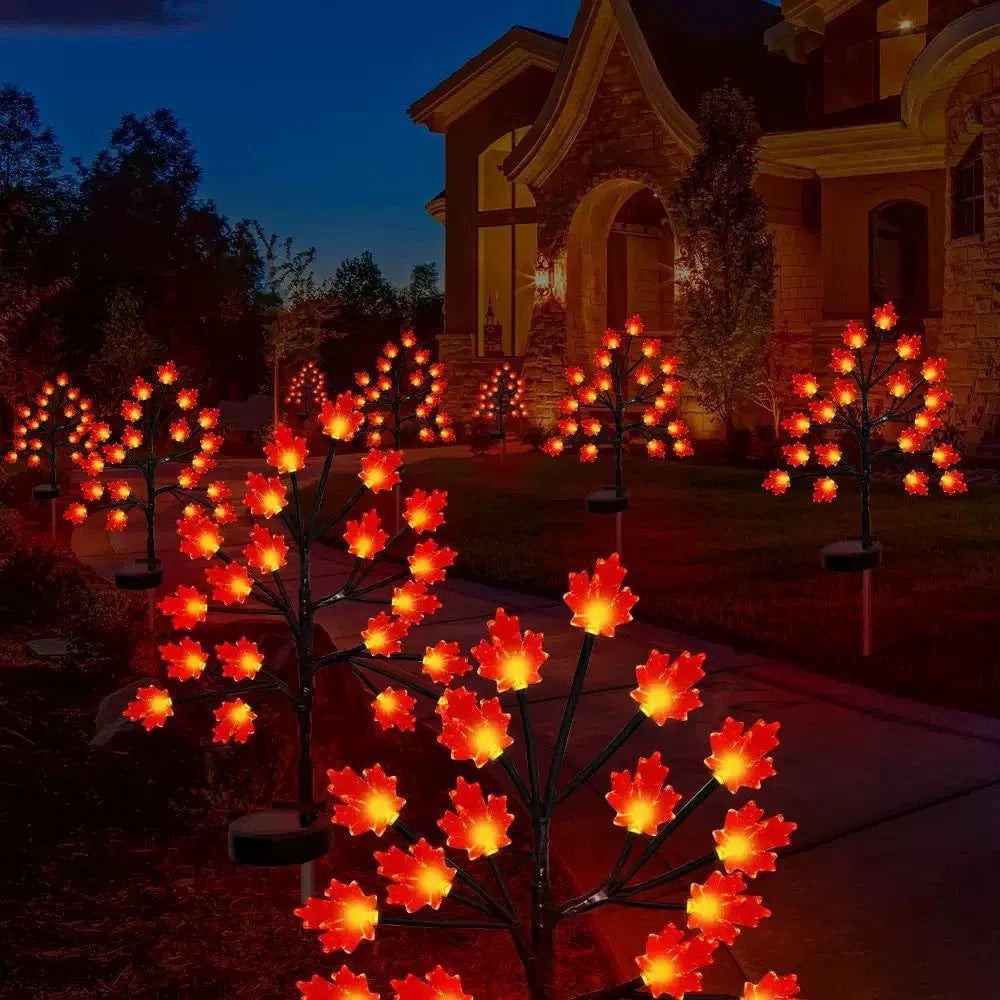 Maple Leaf Light