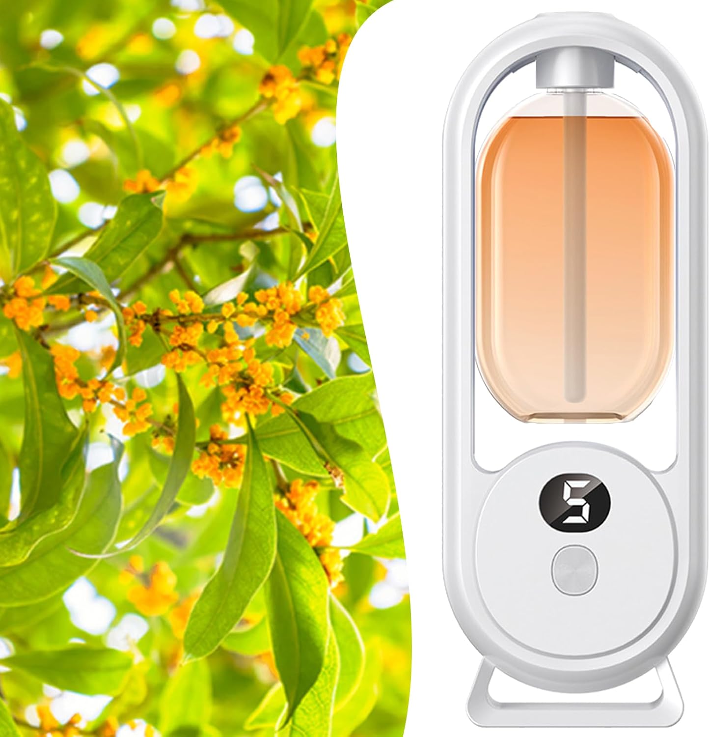 Osmanthus
