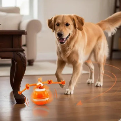🐕⚡Interactive Smart Rolling Pet Ball，49% OFF!⚡