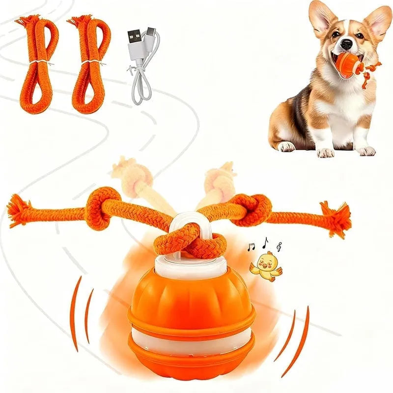 🐕⚡Interactive Smart Rolling Pet Ball，49% OFF!⚡